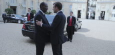 elysee 7