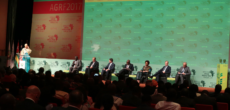 agrf 18