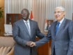 Le Vice-Président de la République a échangé avec le Président du Groupe Attijariwafa Bank